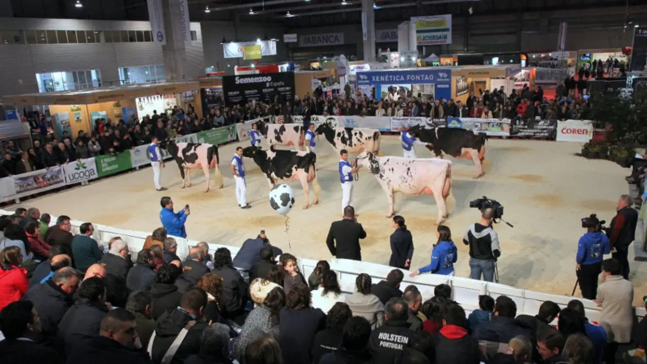 Concurso celebrado en la edición de 2017. EP