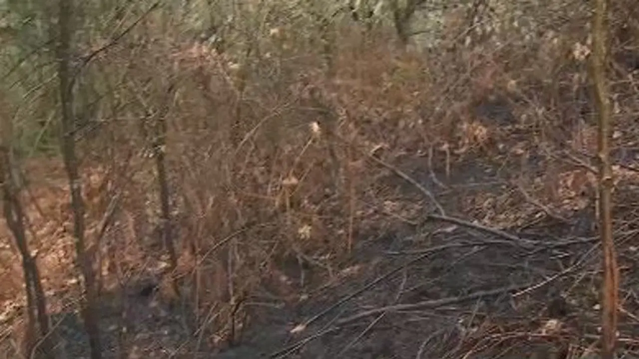 Zona quemada en Bande. TVG