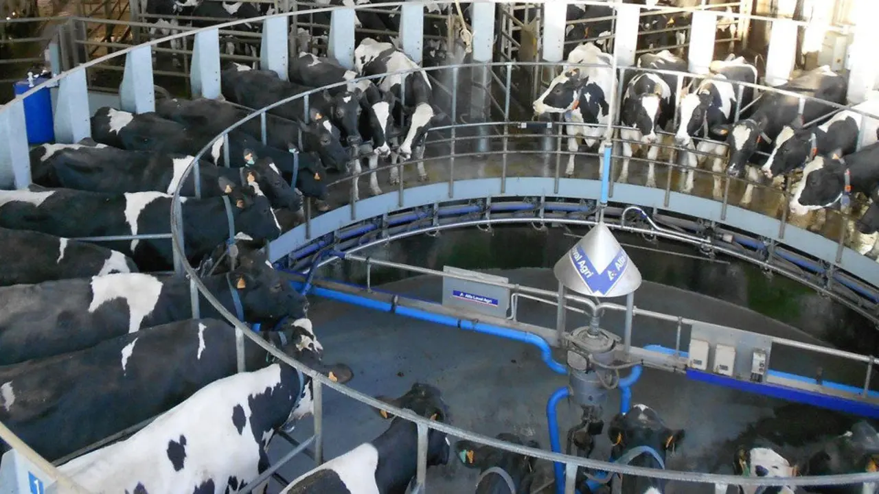 Sala de ordeño de una explotación láctea.EP