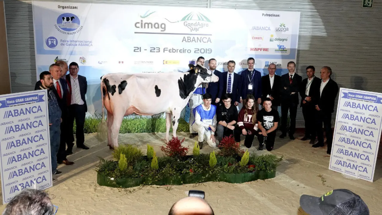 La ganadora de los concursos gallego e internacional de frisona, la pastoricense Rey 747 July High Octane. EP