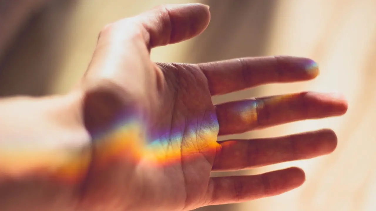 Con el nuevo chip los pagos podrán hacerse con la palma de la mano.CM_SILVA (PB)