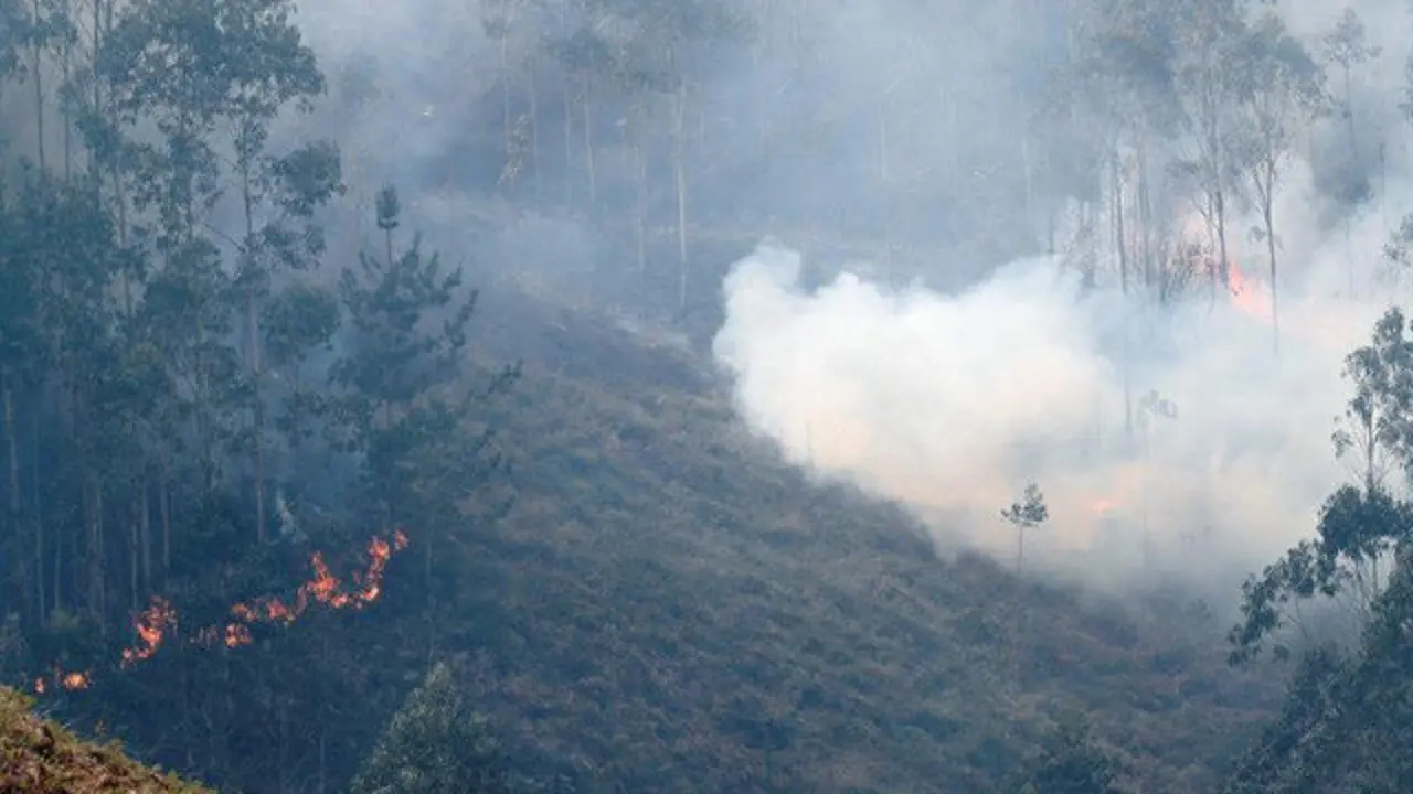 Incendios en Asturias. JOSÉ LUIS CEREIJIDO (EFE)