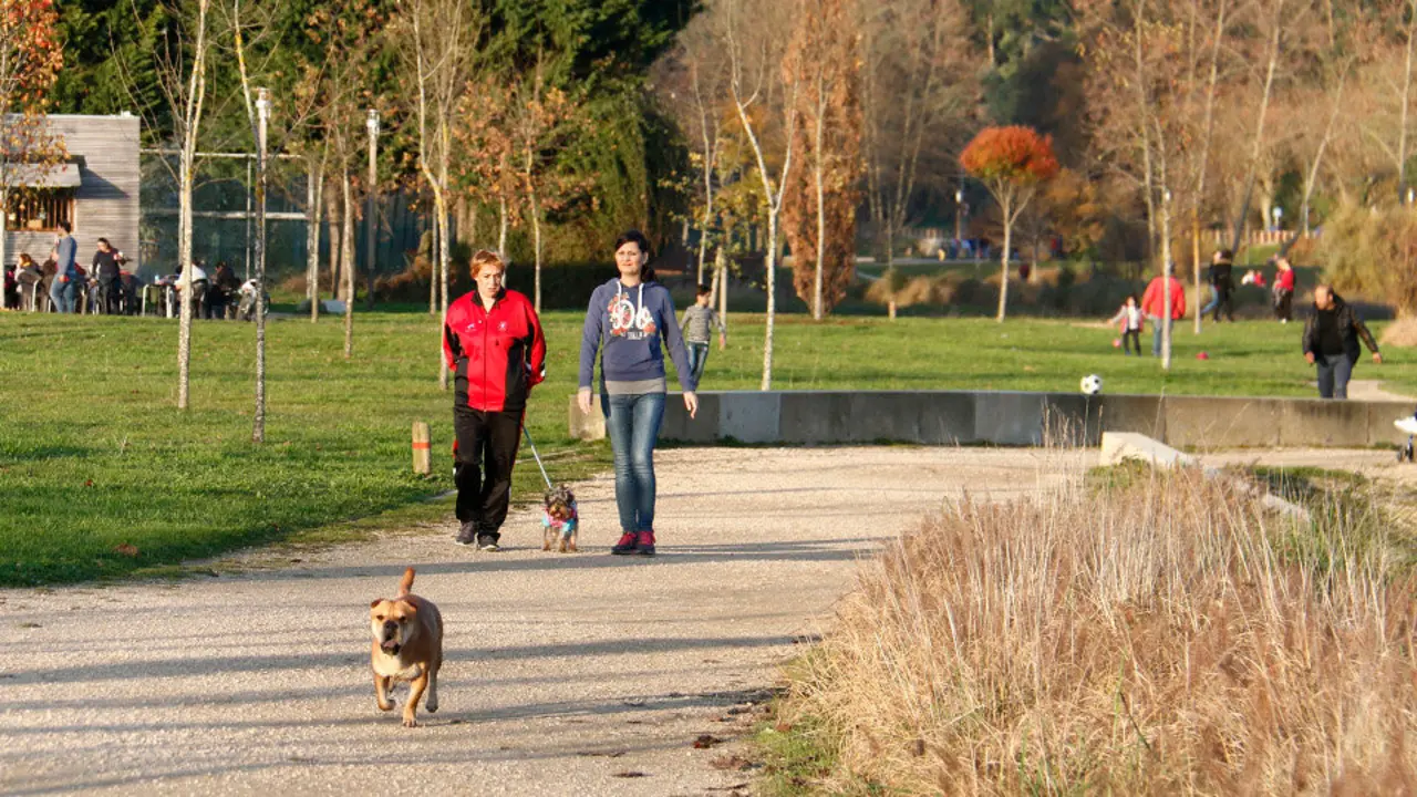 La primavera seguir&aacute; haci&eacute;ndose notar durante la jornada- BEATRIZ C&Iacute;SCAR