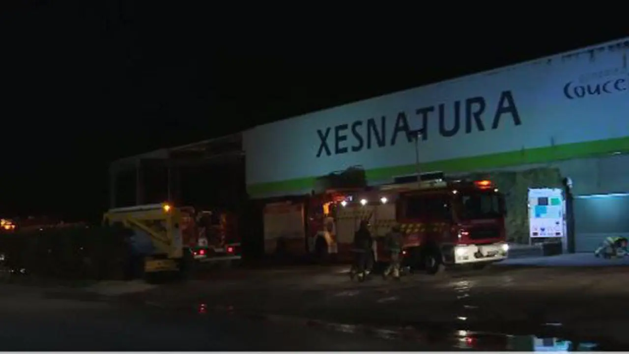 Los bomberos, ante la planta de Xesnatura en O Porriño. CRTVG