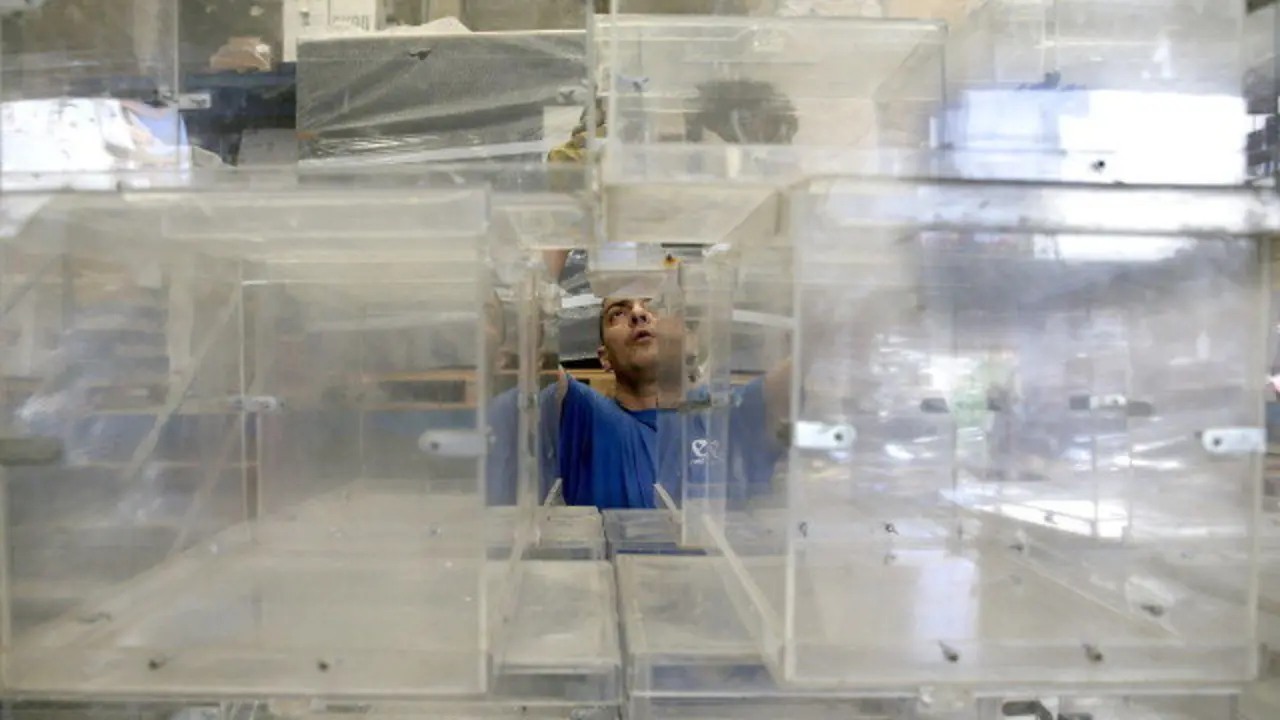 Un operario apilando urnas. ARCHIVO