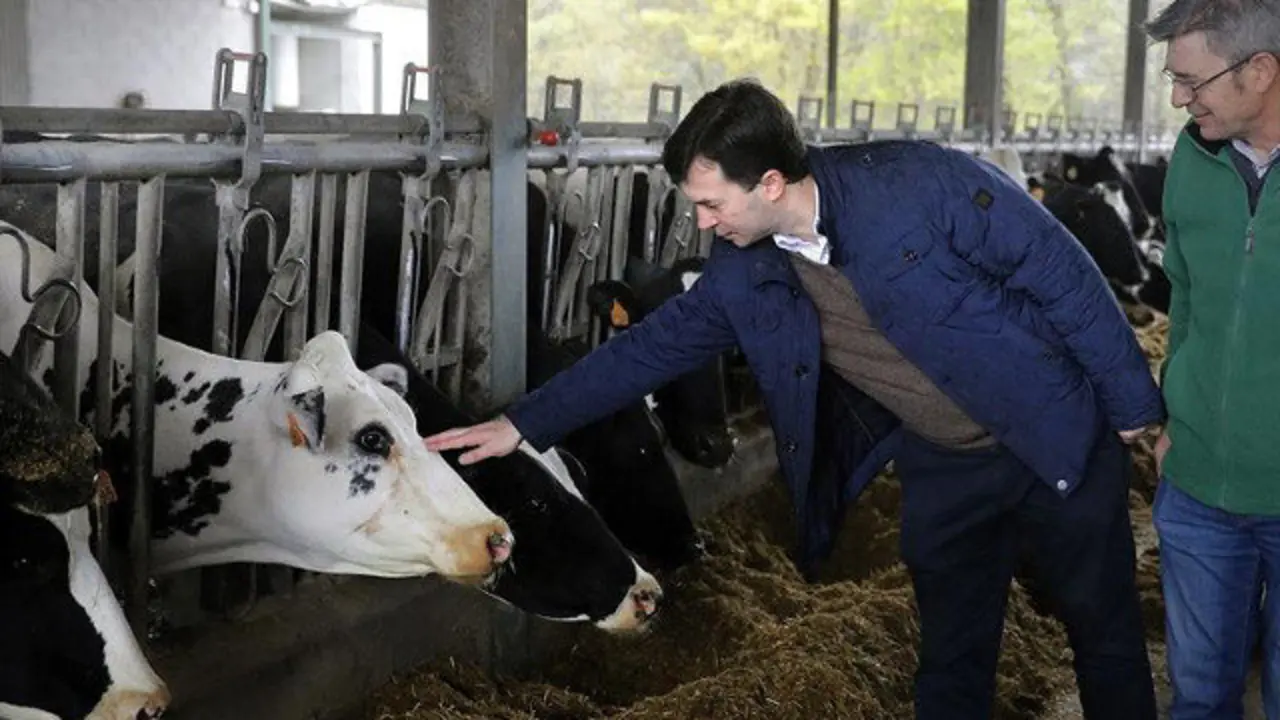 Caballero, en una granja de Lalín. LAVANDEIRA JR