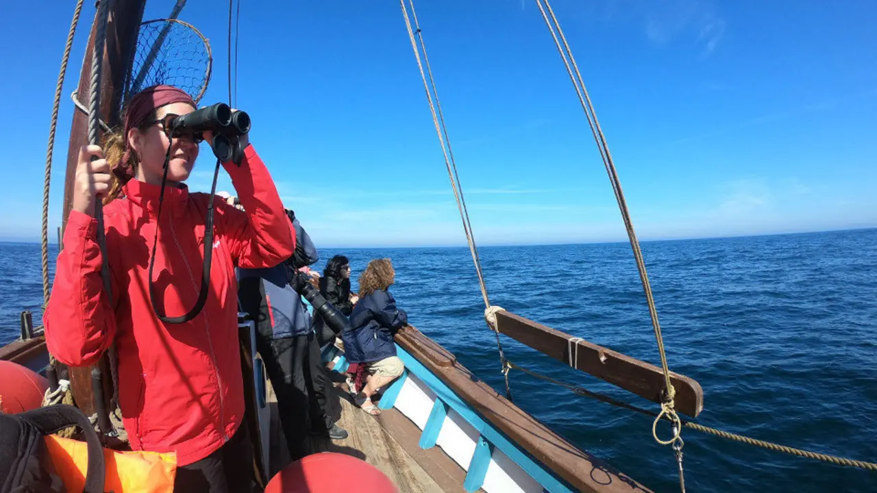 Campaña de avistamiento de cetáceos. EP