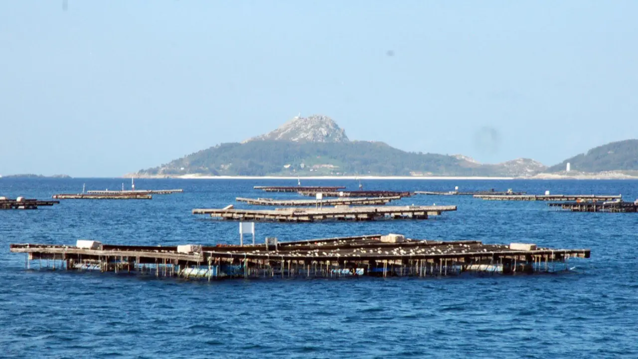 Bateas de mejillones en las Rías Baixas. CHRISTIAN FERNÁNDEZ