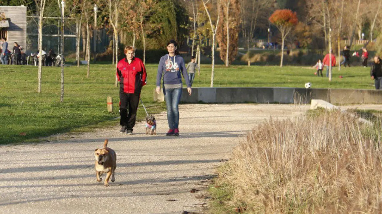 Persoas paseando na Illa das Esculturas nun d&iacute;a asollado en Pontevedra. ARQUIVO