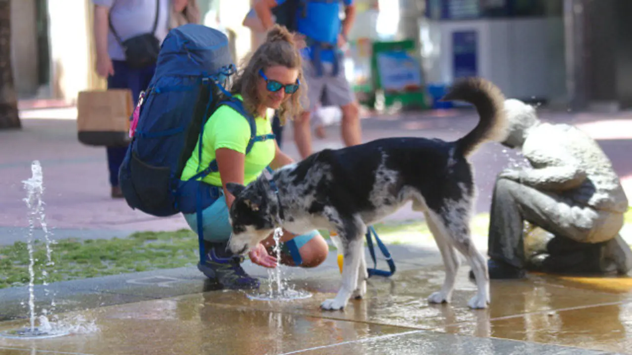 Un perro y su due&ntilde;a se refrescan en Pontevedra. RAFA FARI&Ntilde;A