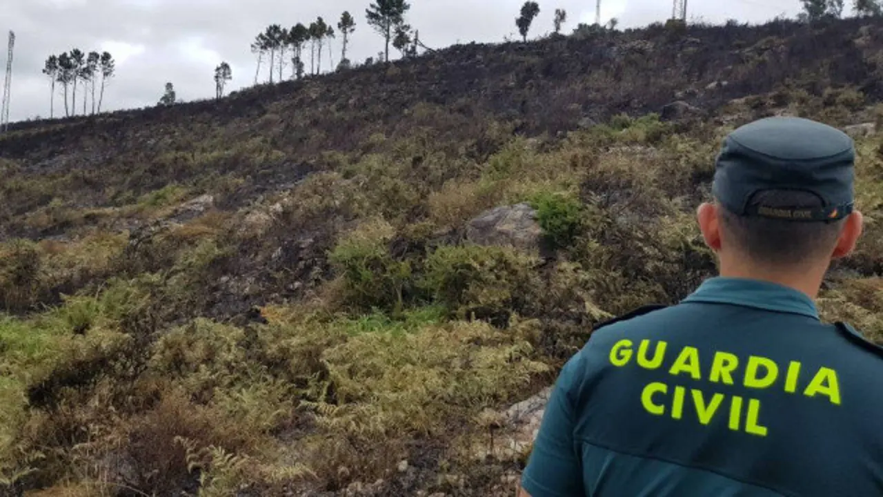 Superficie calcinada na Cañiza. GUARDIA CIVIL