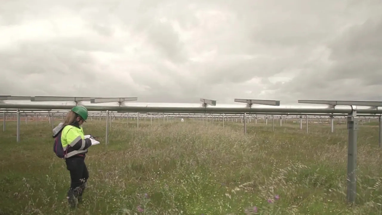 Una técnica en un campo de placas solares. EP