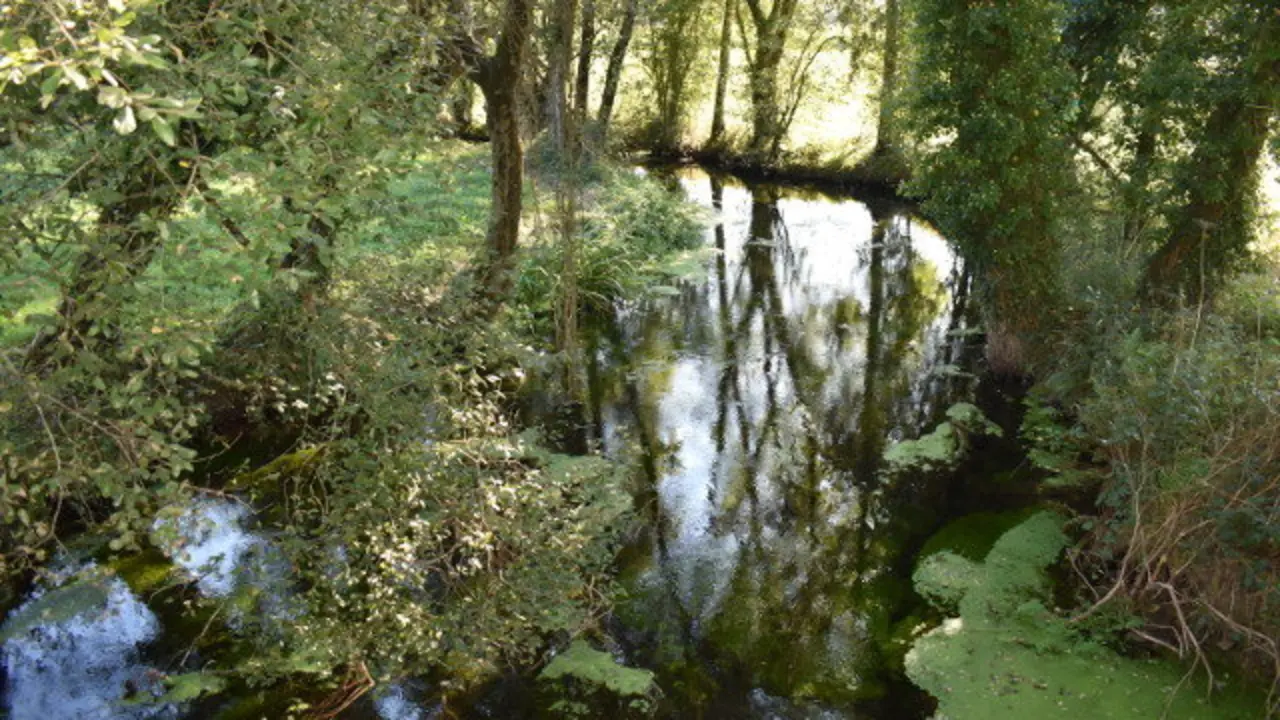 Crecente, na Pastoriza, é unha das parroquias que non ten foto na Wikipedia. M.ROCA