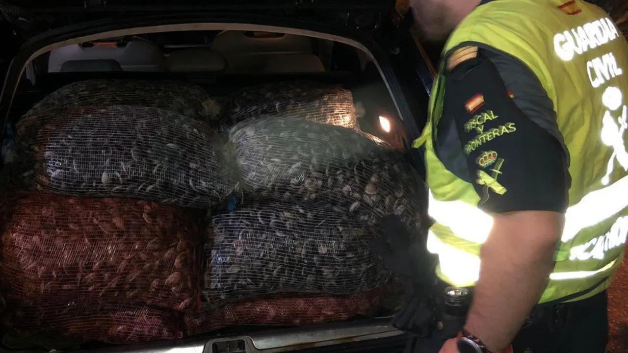 Un agente junto a las almejas incautadas. GUARDIA CIVIL