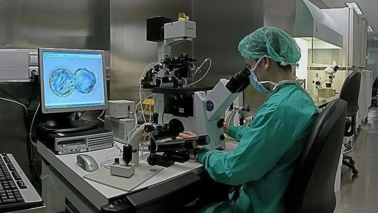 Manipulación de óvulos en un laboratorio. AEP