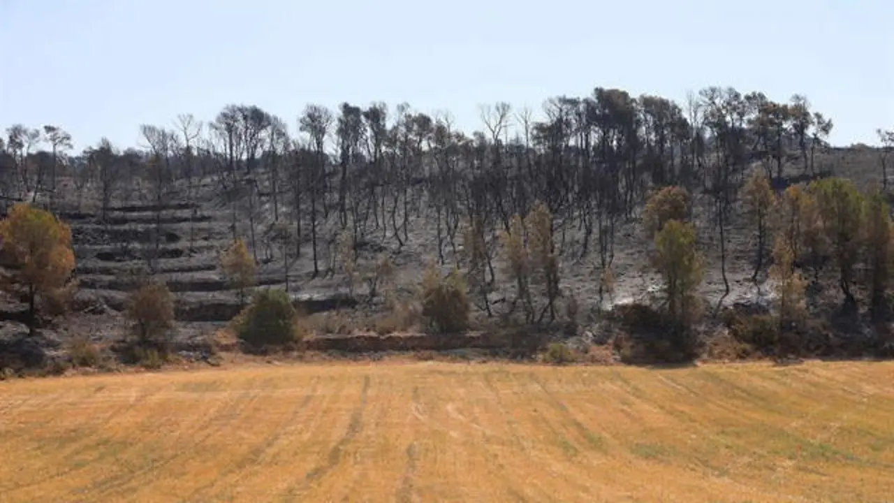 Lugar del incendio en Tarragona. JAUME SELLART (EFE)