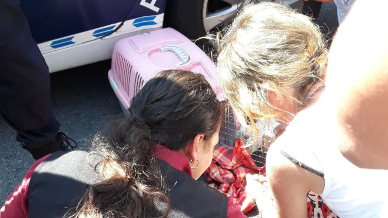 Los vecinos cuidando de los perros tras ser rescatados en Marín. C. SOLIÑO