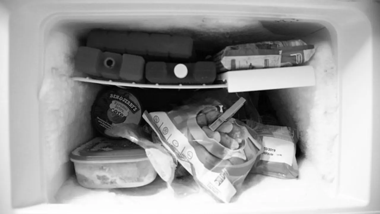 Un congelador lleno. JulioPablo (PIXABAY)