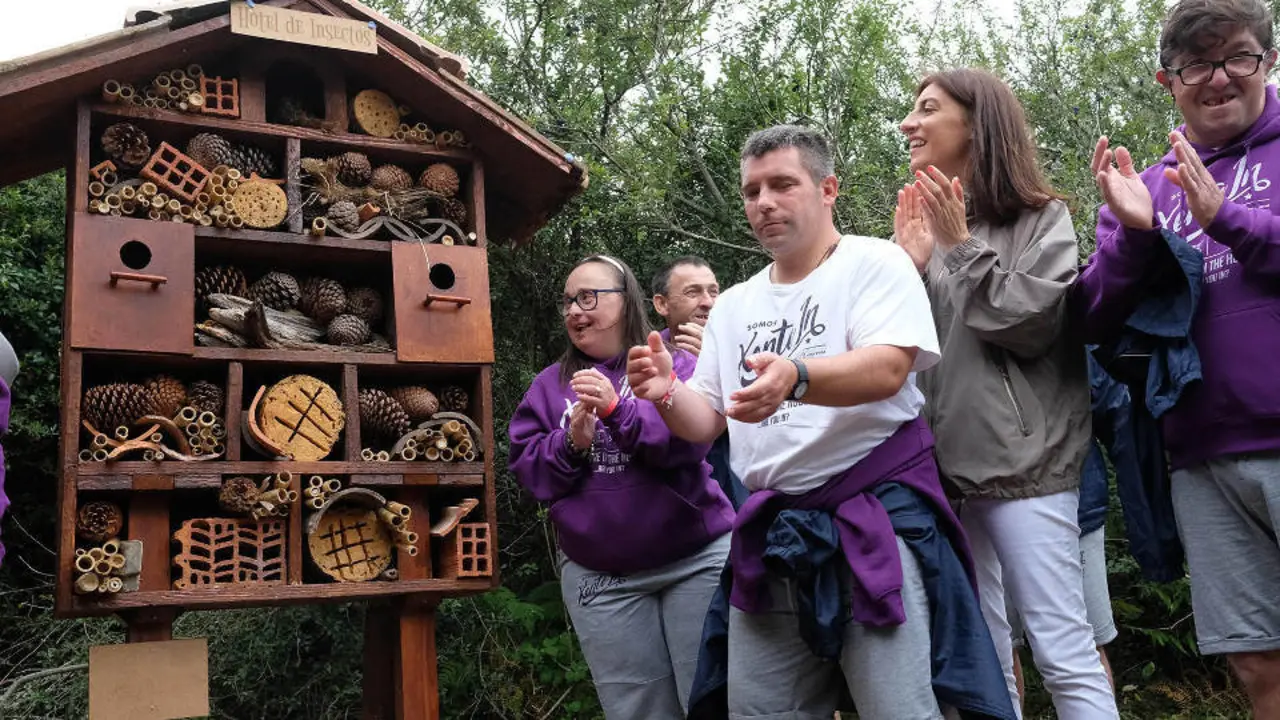 Hotel de insectos en las Illas Atlánticas. EP