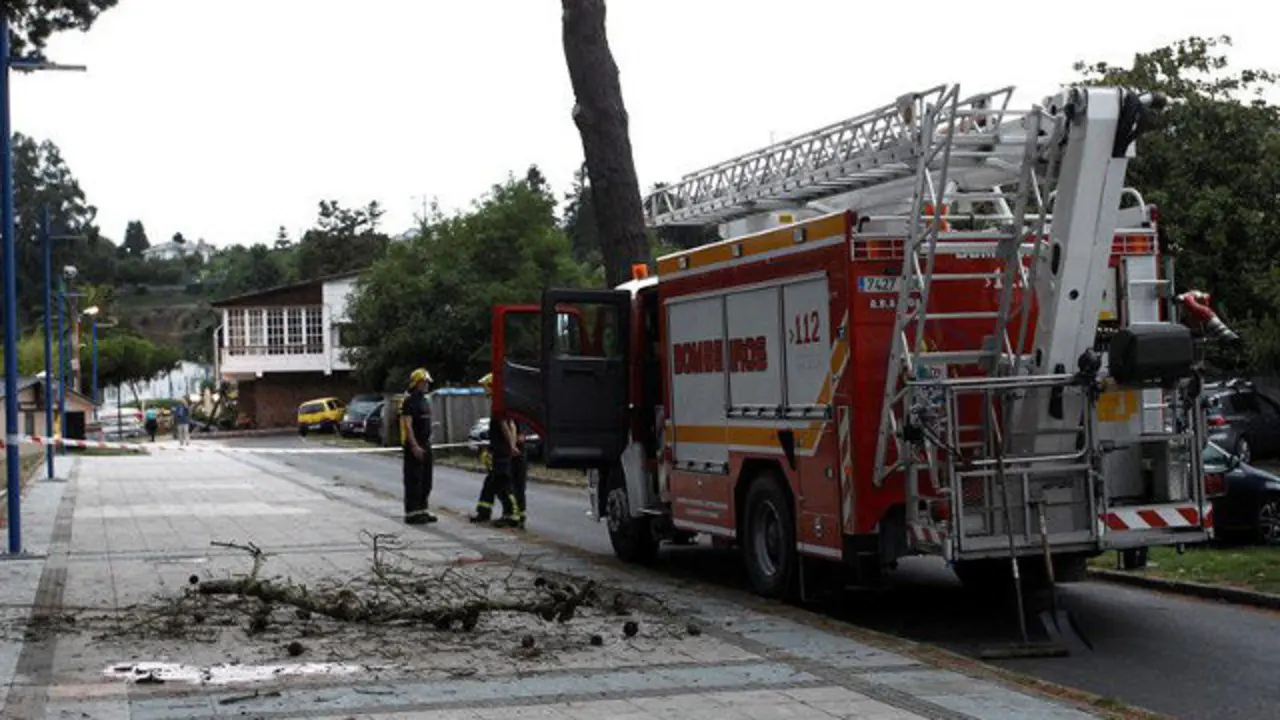 La rama que causó la muerte de una pontesa en Cabanas. KIKO DELGADO