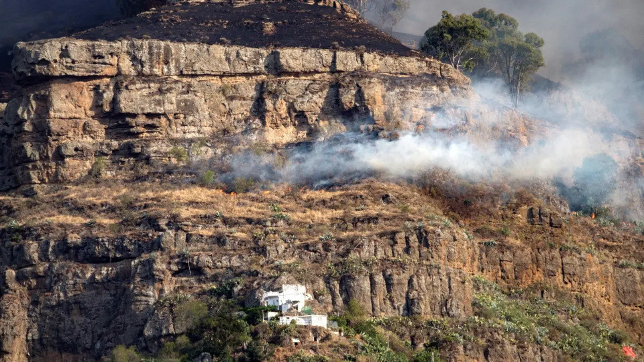 El Parque Natural de Tamadaba es una de las joyas medioambientales de la isla y cuenta con una gran riqueza ecológica. ÁNGEL MEDINA G. (EFE)