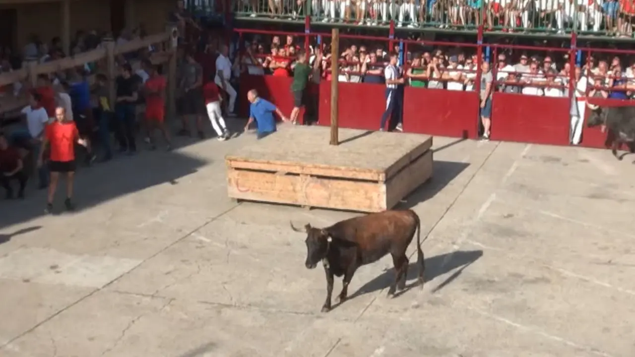 Un momento del encierro celebrado en Falces. YOUTUBE (VÍDEOS JARAUTA)