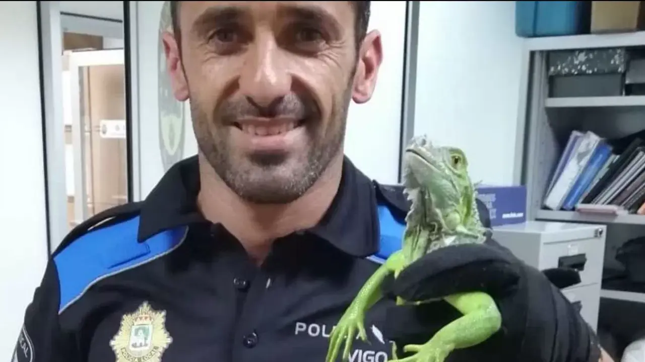 La iguana rescatada. POLIC&Iacute;A LOCAL