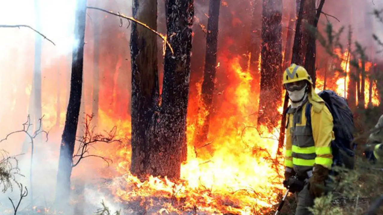 Un incendio en Ribeira. XOÁN REY (EFE)