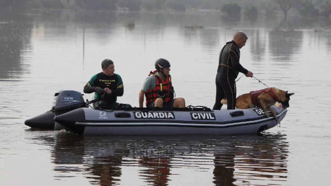 Una unidad canina, buzos y un helicóptero de la Guardia Civil participaron en la búsqueda del holandés en Alicante. EFE
