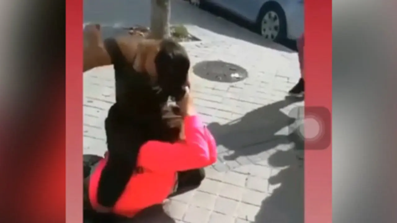 Un momento del vídeo de la agresión. El MUNDO