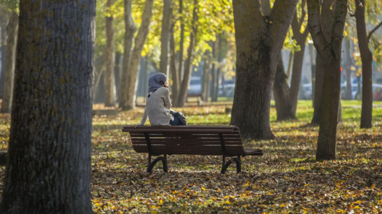Un soleado d&iacute;a de oto&ntilde;o. ARCHIVO