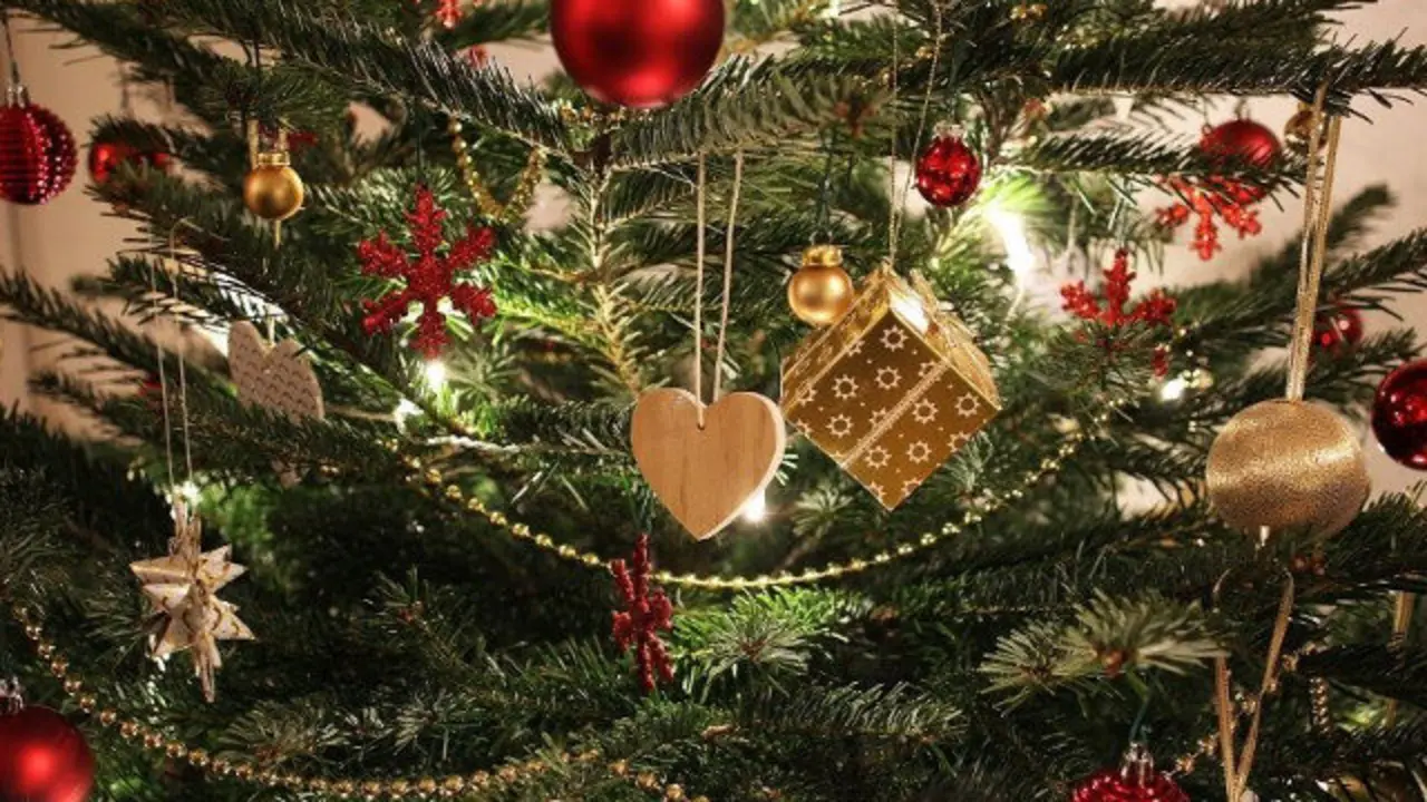 Árbol de navidad. EP