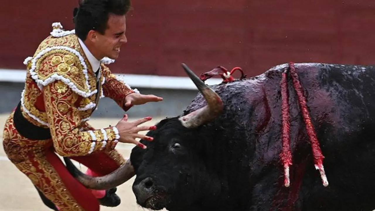 Gonzalo Caballero, corneado. FERNANDO VILLAR