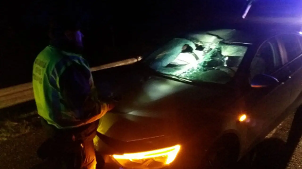 Estado no que quedou o turismo tras o atropelo. SUBSECTOR DE TRÁFICO DE LUGO