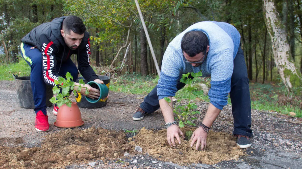 José Cancelas, más conocido como 'el chatarrero justiciero' rellena un bache con plantas en una carretera de O Porriño. SALVADOR SAS