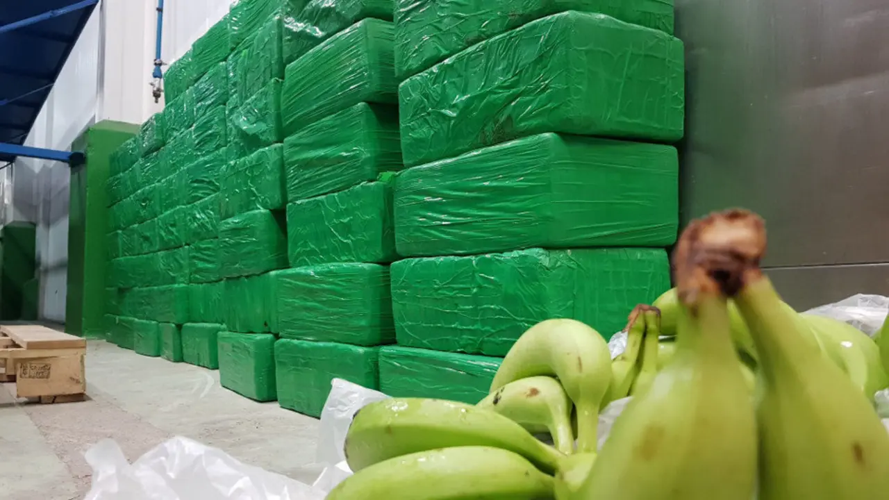 Alijo aprehendido en la operación. UNIDAD CENTRAL OPERATIVA