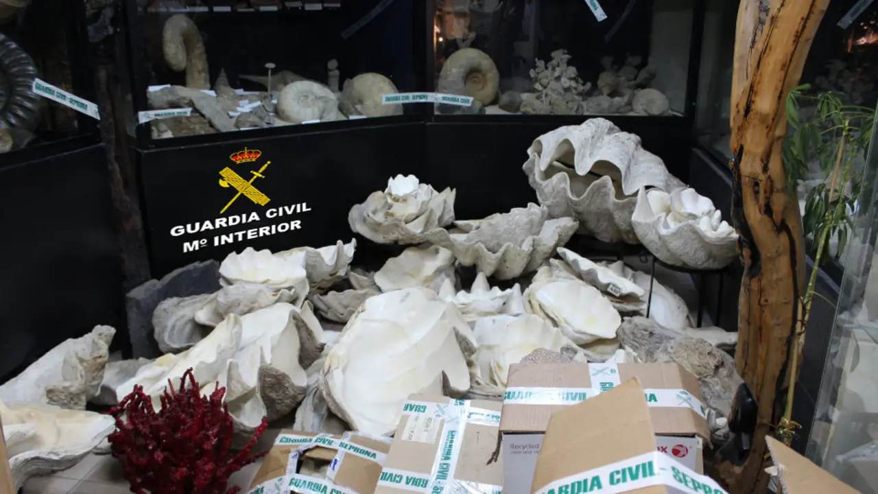 Algunas de las piezas incautadas. GUARDIA CIVIL