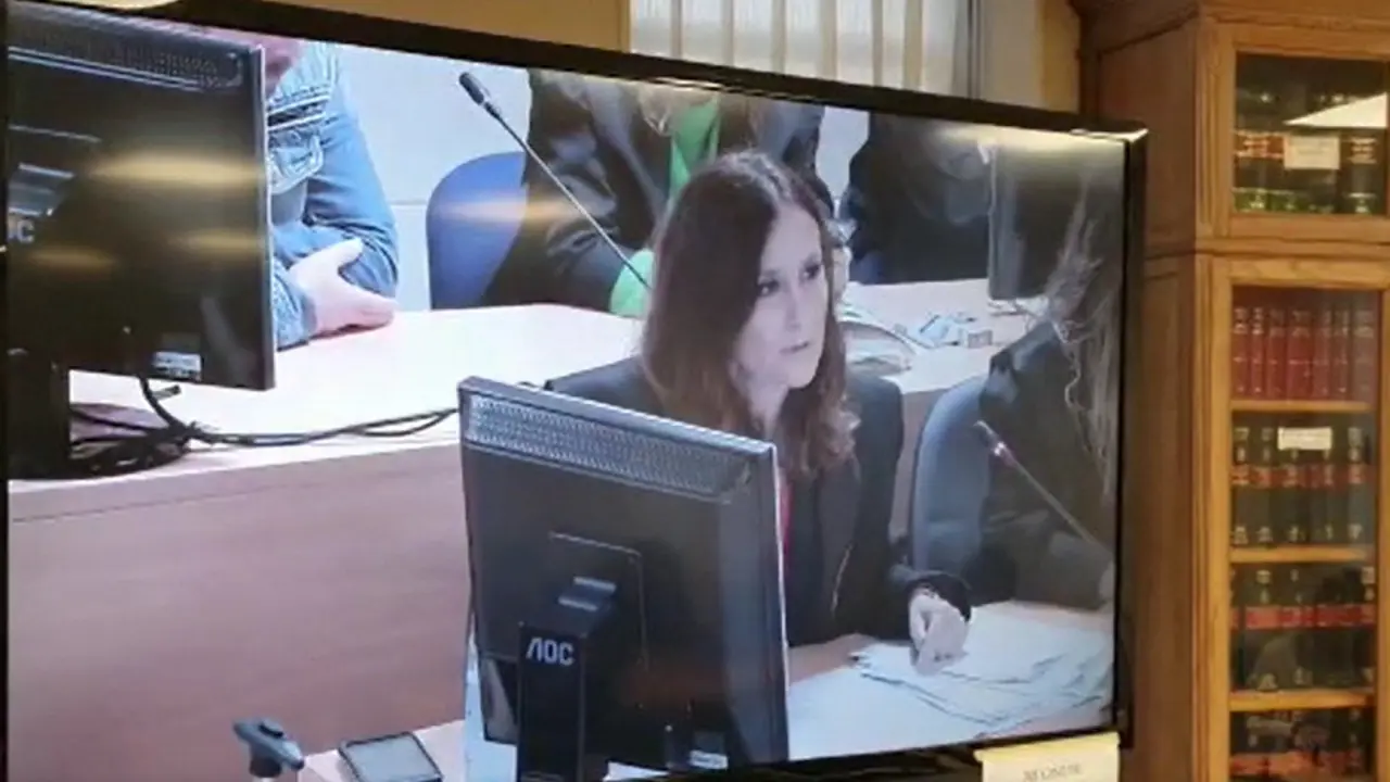 La abogada de El Chicle, Fernanda Álvarez, durante su alegato final. PEPE FERRÍN (AGN)