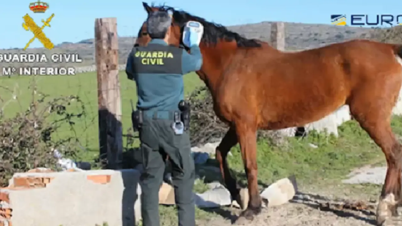 Un agente con un caballo. GUARDIA CIVIL
