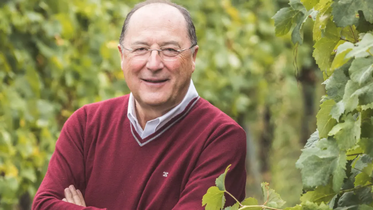 Carlos Moro, presidente de Bodegas Familiares Matarromera.EP