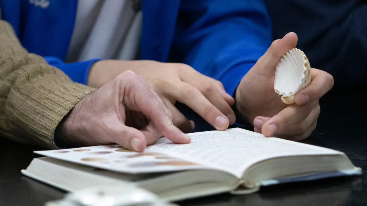 Un adulto e un neno consultan un libro. EP