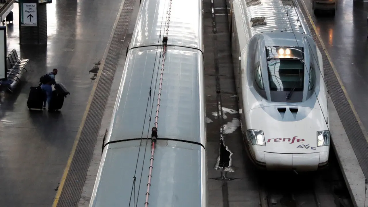 Ave na estación de Atocha de Madrid. EFE