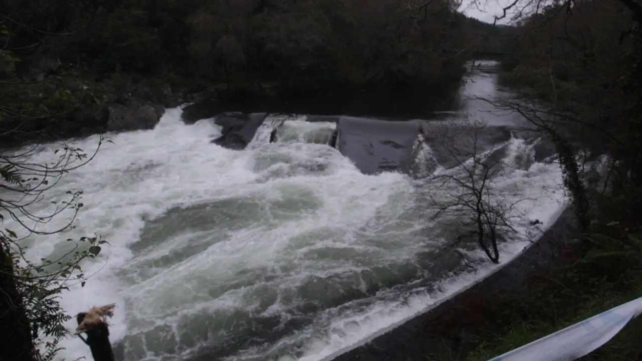 Río Lérez en Monte Porreiro. ARQUIVO