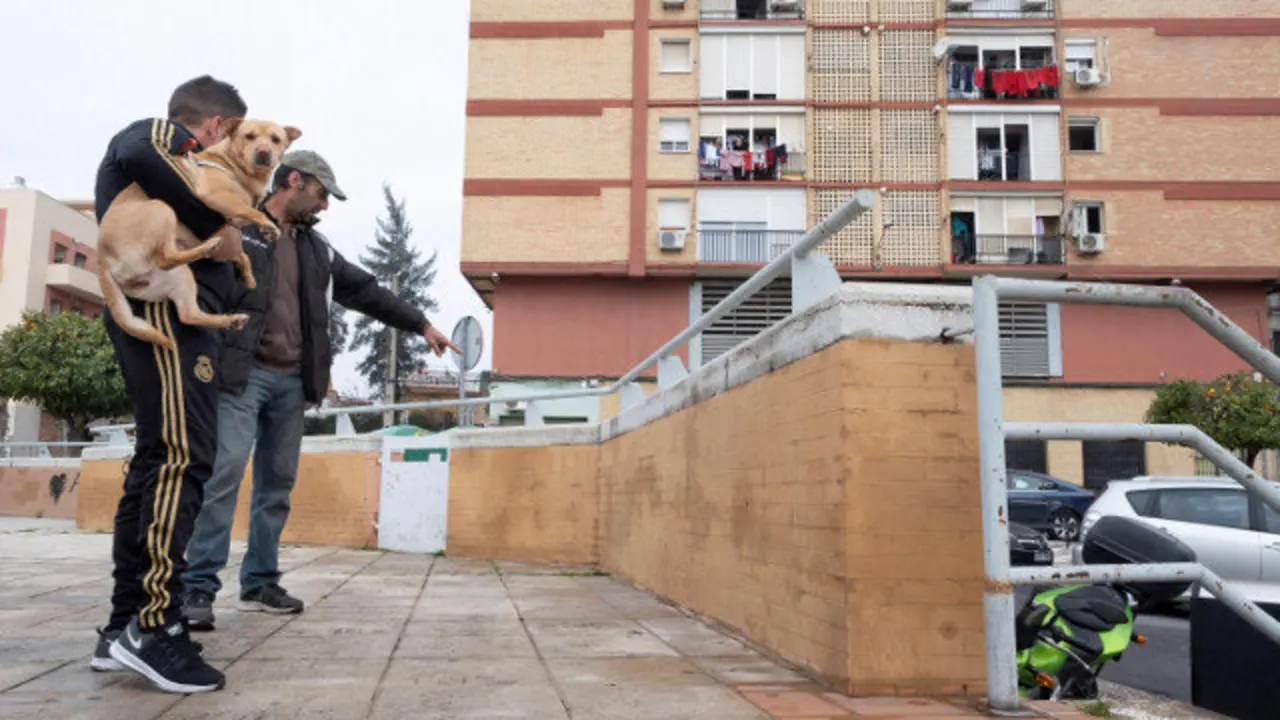Uns veciños observan na praza Blas Infante os restos de sangue no lugar onde apareceu o corpo sen vida dunha muller. EFE