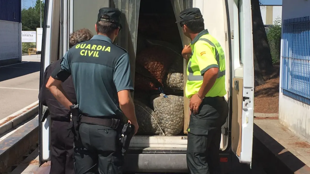 Sacos de almeja intervenidos en una furgoneta en una operación anterior. ADP