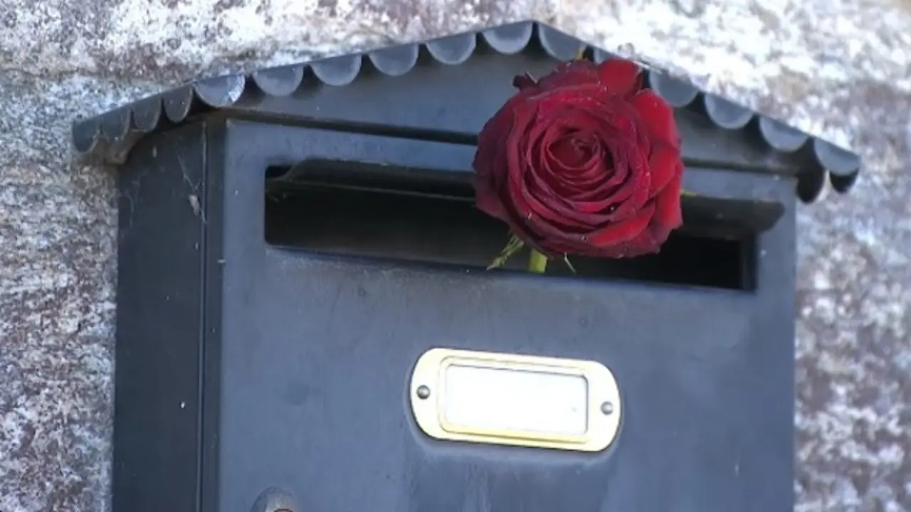 Rosa en recuerdo del párroco. EP