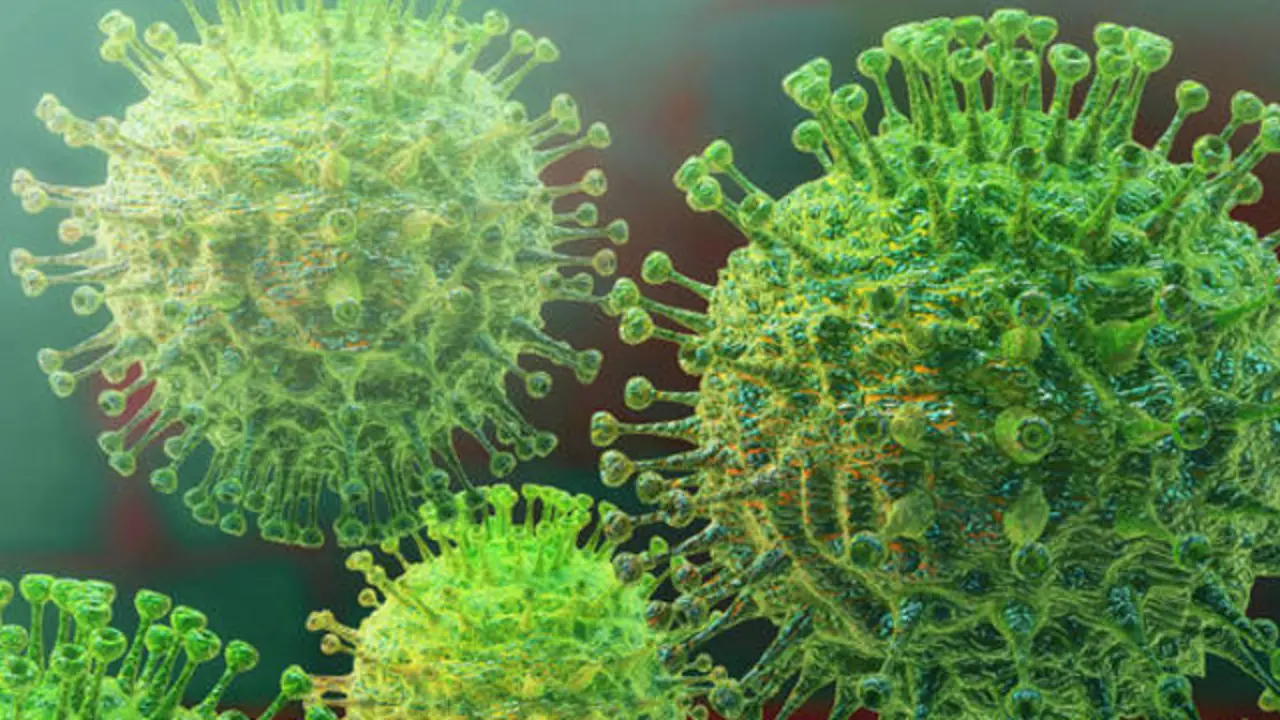 Cepa de coronavirus de laboratorio. EP