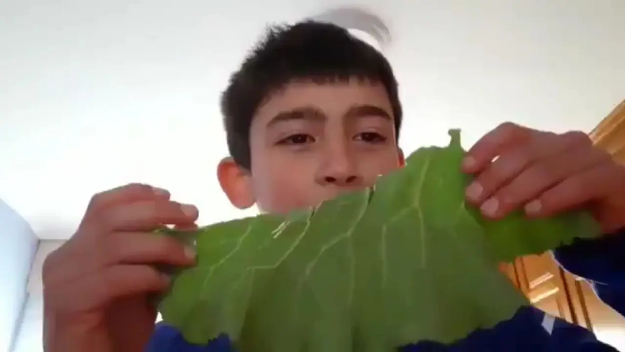 O rapaz, durante a s&uacute;a clase maxistral. TWITTER