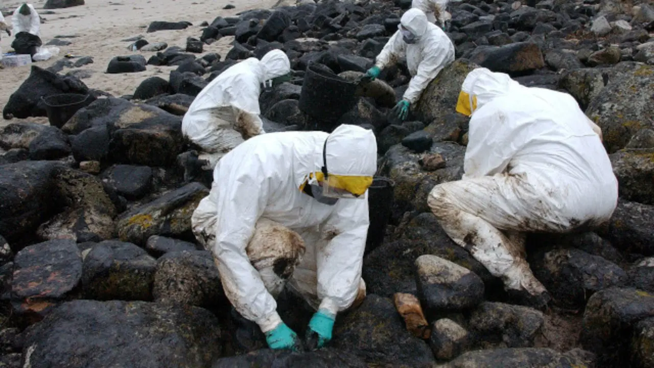 Generated by  IJG JPEG Library