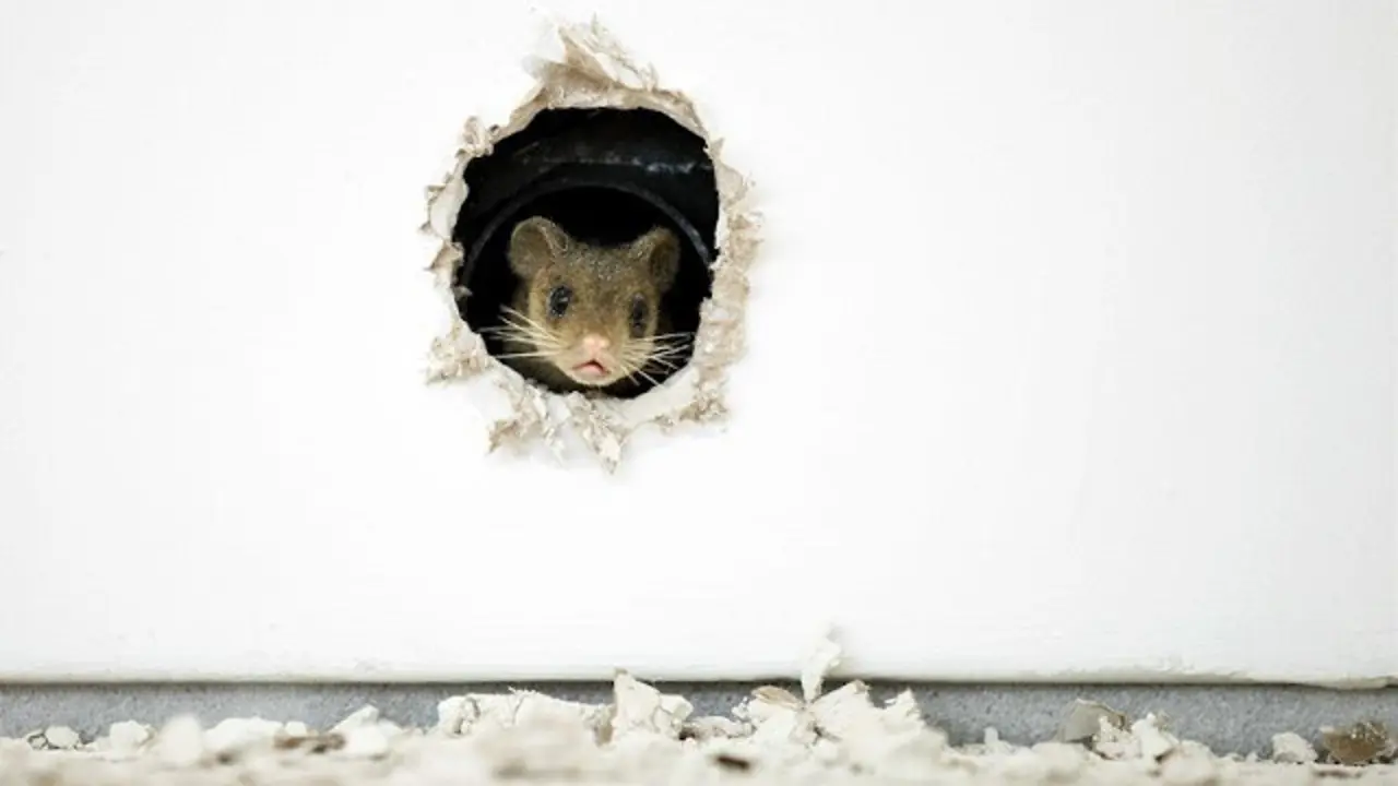 206cad0ce740cb03ba15f6865023567da86b44d0w